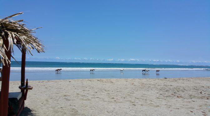 Playa Samara is Amazing.